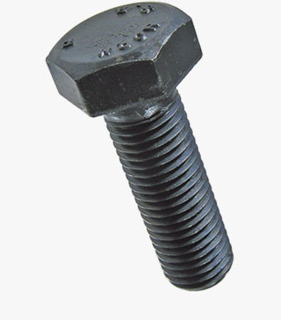0096180.jpg