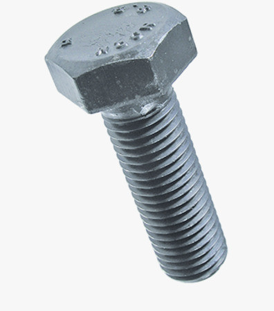 00961810.jpg