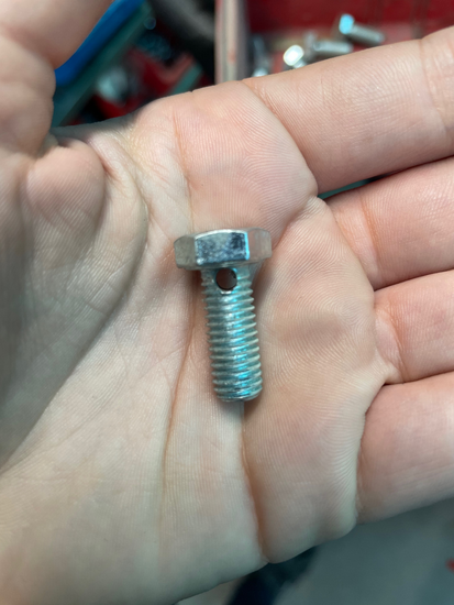 vijaki-s-sestrobo-glavo/MicrosoftTeams-image-29