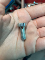 vijaki-s-sestrobo-glavo/MicrosoftTeams-image-29